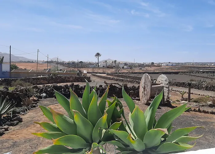 Casa Espinosa * لا أوليفا